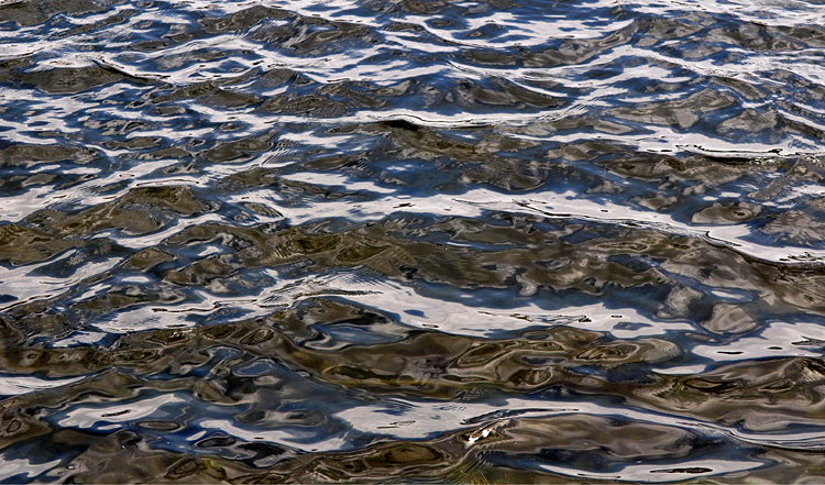 North pond at Sand Hills State Park