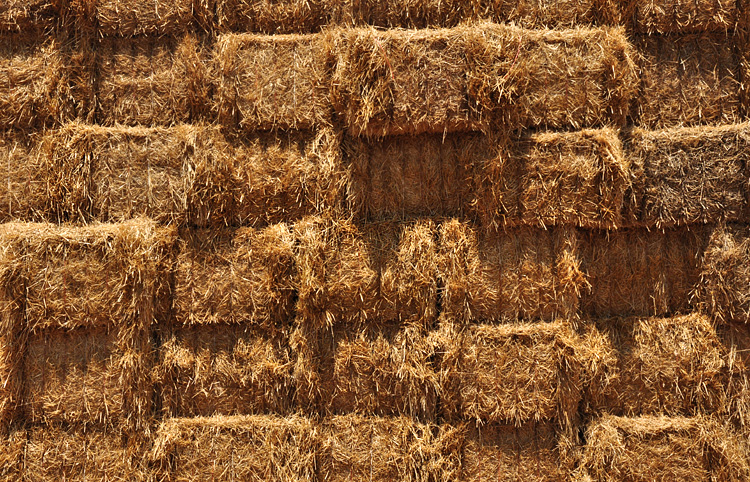 Stacked hay
