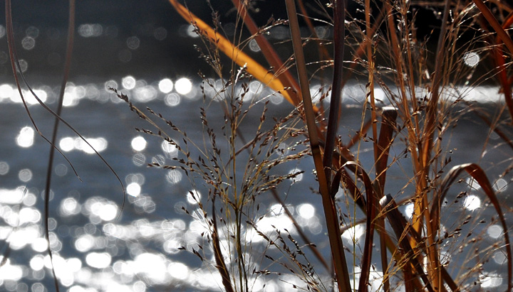 Sun spots