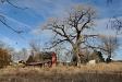 Red barn