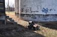 Abandoned grain elevator