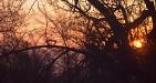 Sun creeping up