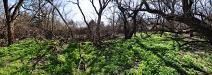 Harvey County Park East panorama