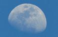 Blue moon