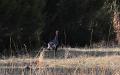 Turkey through the straw
