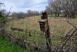 Birdhouse