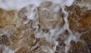 Foam
