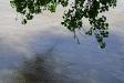 Shadow on the river