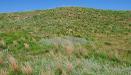 Sand mountain at Pratt Sand Hills Wildlife Area