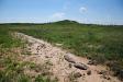 Rocky path