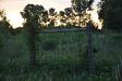 Gate