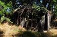 Fallen down shed