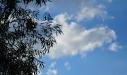 Summer cloud