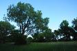 Glade