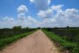 Country road