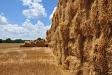 Hay stack
