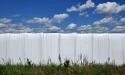 Wrapped hay bales and clouds