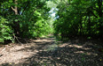 Hidden creek