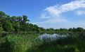 Kansas duck head tree