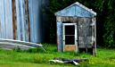 Little blue house
