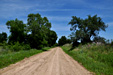 Going down a country road