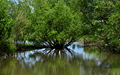 High water