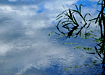 Clouds and ripples