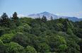 Mount Diablo
