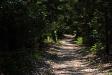 Outer loop trail at Dillon Nature Center in Hutchinson, KS