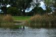 Pond at Carey Park, Hutchinson, KS