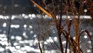 Sun spots