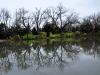 The back pond