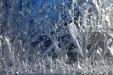 Ice forest