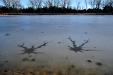 ice patterns