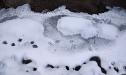 Tracks in the ice